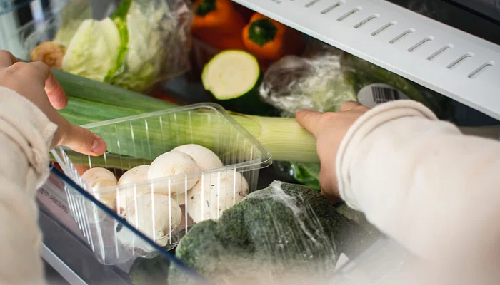 Como Armazenar Alimentos de Forma Correta